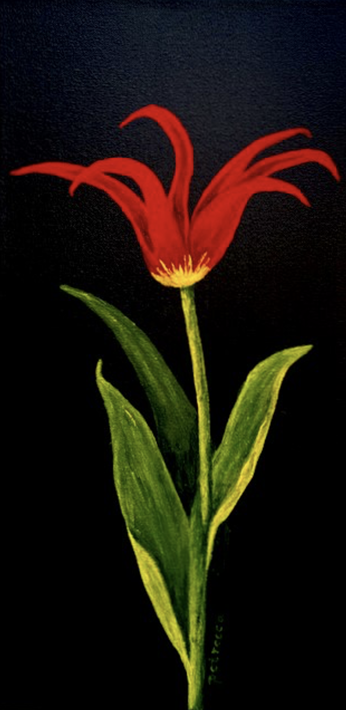 Red flower with green leaves painted against a dark background.
