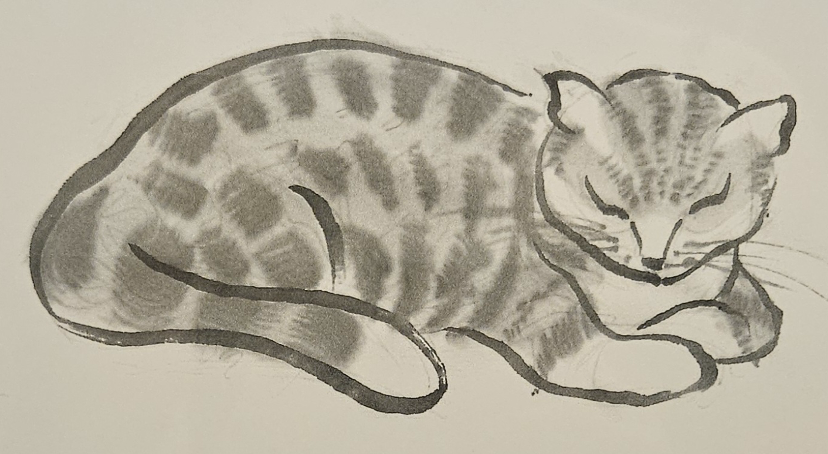 Gray ink brush drawing of a curled, resting cat with soft striped pattern.