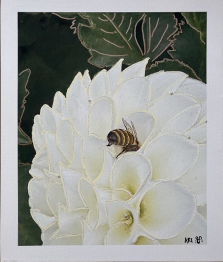 What We Love Exhibit Image 